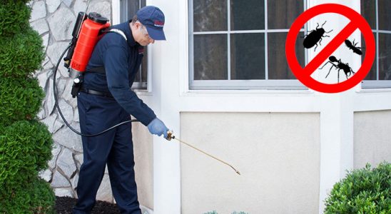 Kartepe Kemirgen İlaçlama böcek ilaçlama ve haşere kontrolü — ilaclama-tr.com